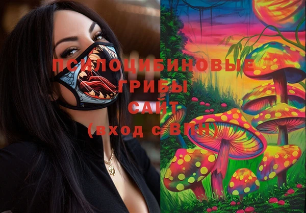 соль ск Кинешма