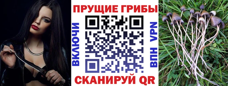 Галлюциногенные грибы прущие грибы  Купить где  Армянск 